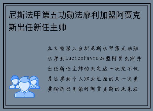 尼斯法甲第五功勋法廖利加盟阿贾克斯出任新任主帅 尼斯法甲第五功勋法廖利加盟阿贾克斯出任新任主帅